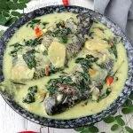 Ginataang Tilapia (Tilapia en leche de coco picante)