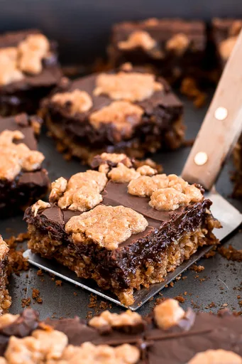 Oatmeal Chocolate Fudge Chewies