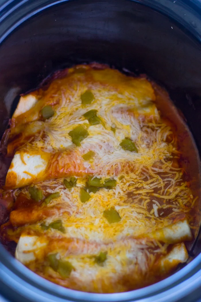 Enchiladas de pollo en olla de cocción lenta