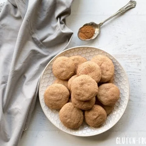 Grain Free Snickerdoodles
