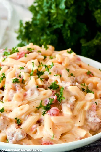 Pasta cremosa con salchicha y Rotel