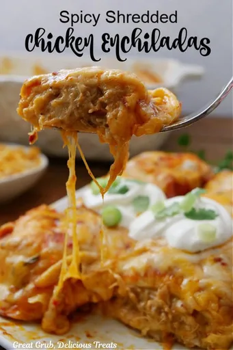 Enchiladas picantes de pollo desmenuzado