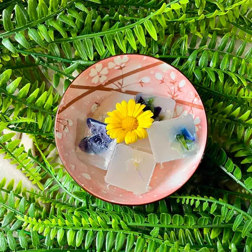 Agar Agar Jelly (2-ingredient)