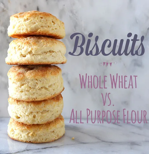 Biscuit Recipe