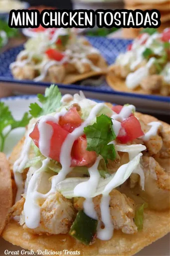Mini Tostadas de Pollo