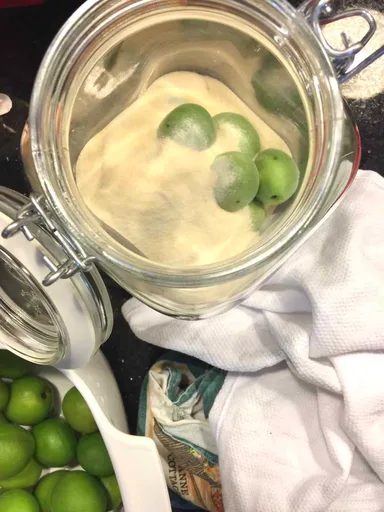 Maesil Cheong for Beginnners (Korean green plum syrup)