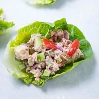Tuna Wrap