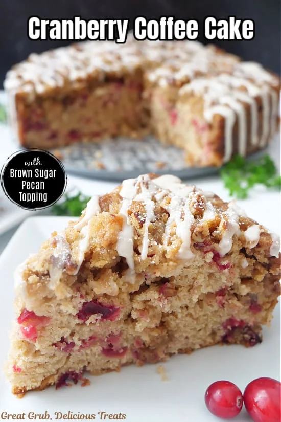 Cranberry Coffee Cake