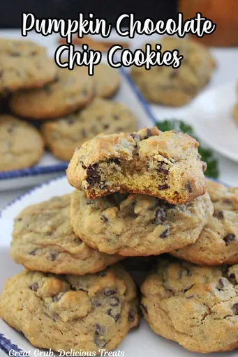 Pumpkin Chocolate Chip Cookies