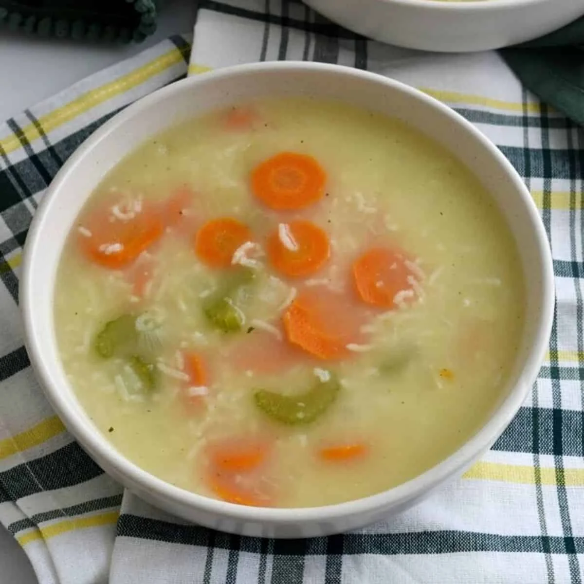Vegetable Rice Soup