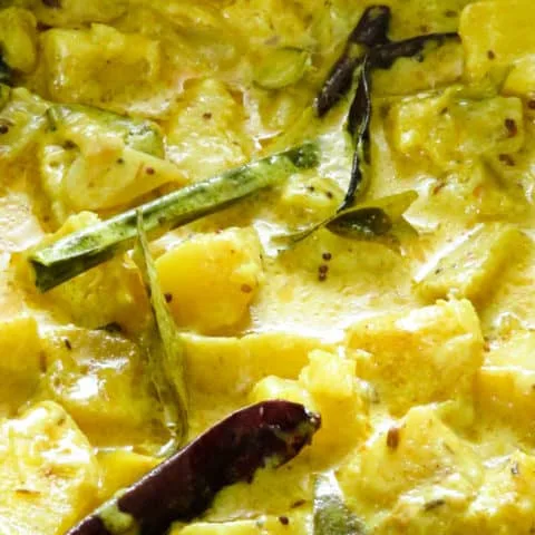 Manioc(cassava)-coconut milk curry.