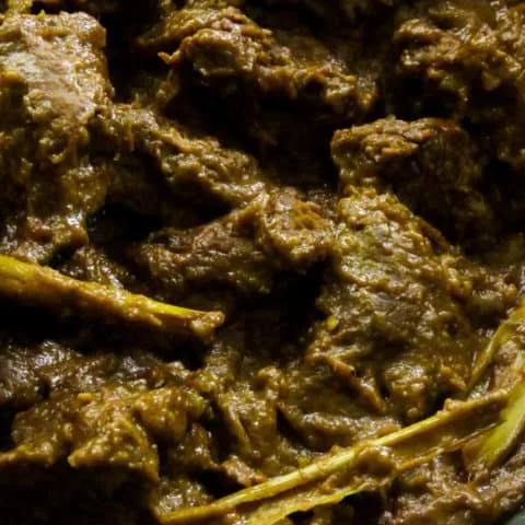 Beef Rendang (Indonesian coconut milk based thick beef curry).