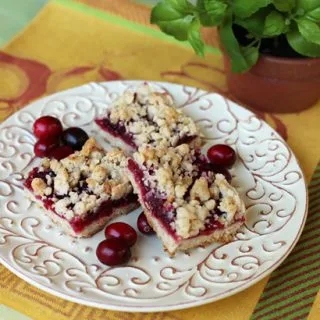 Cranberry Walnut Squares