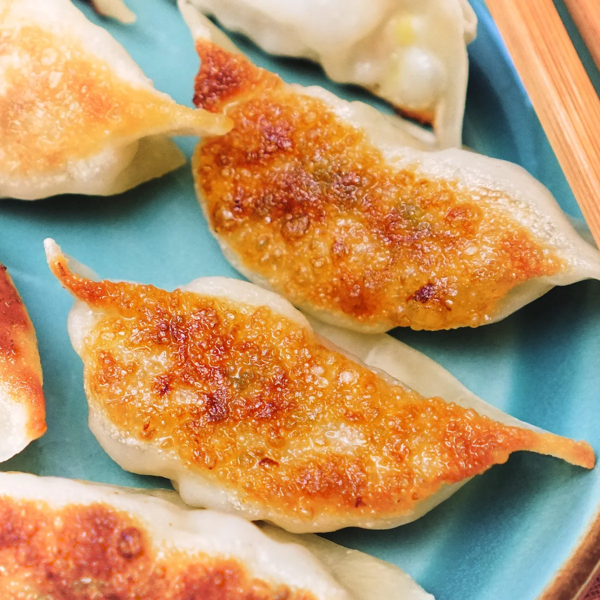 Gyoza | Pan Fried Dumplings