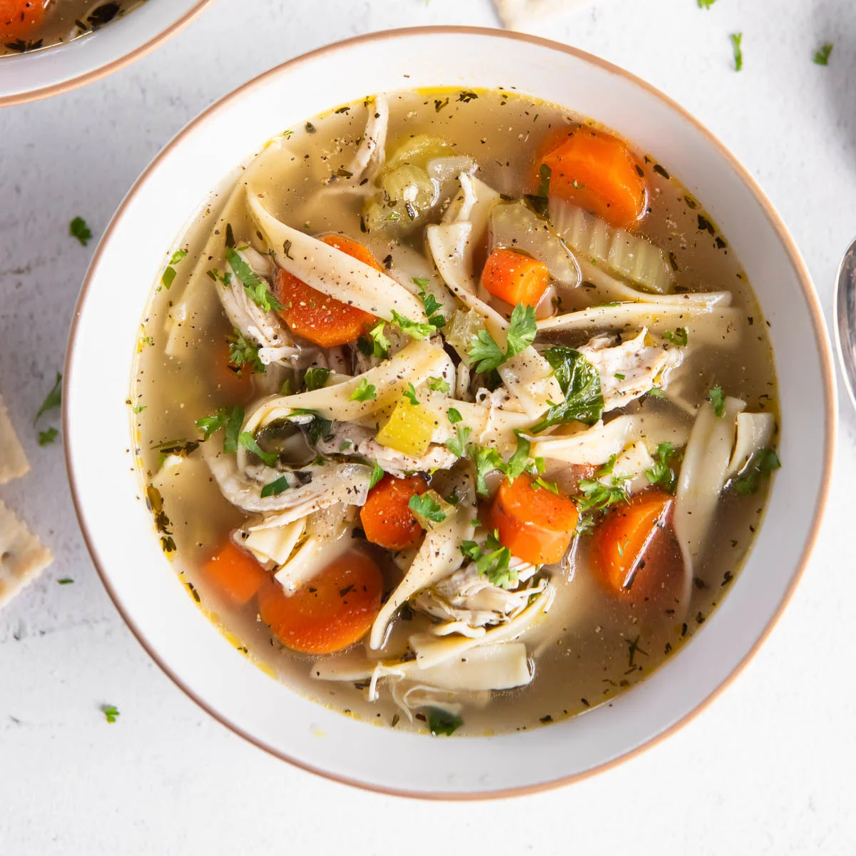 Chicken Noodle Soup