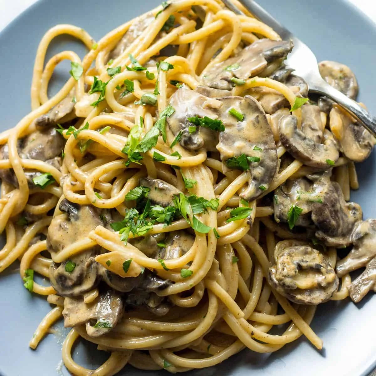 Mushroom Stroganoff Recipe