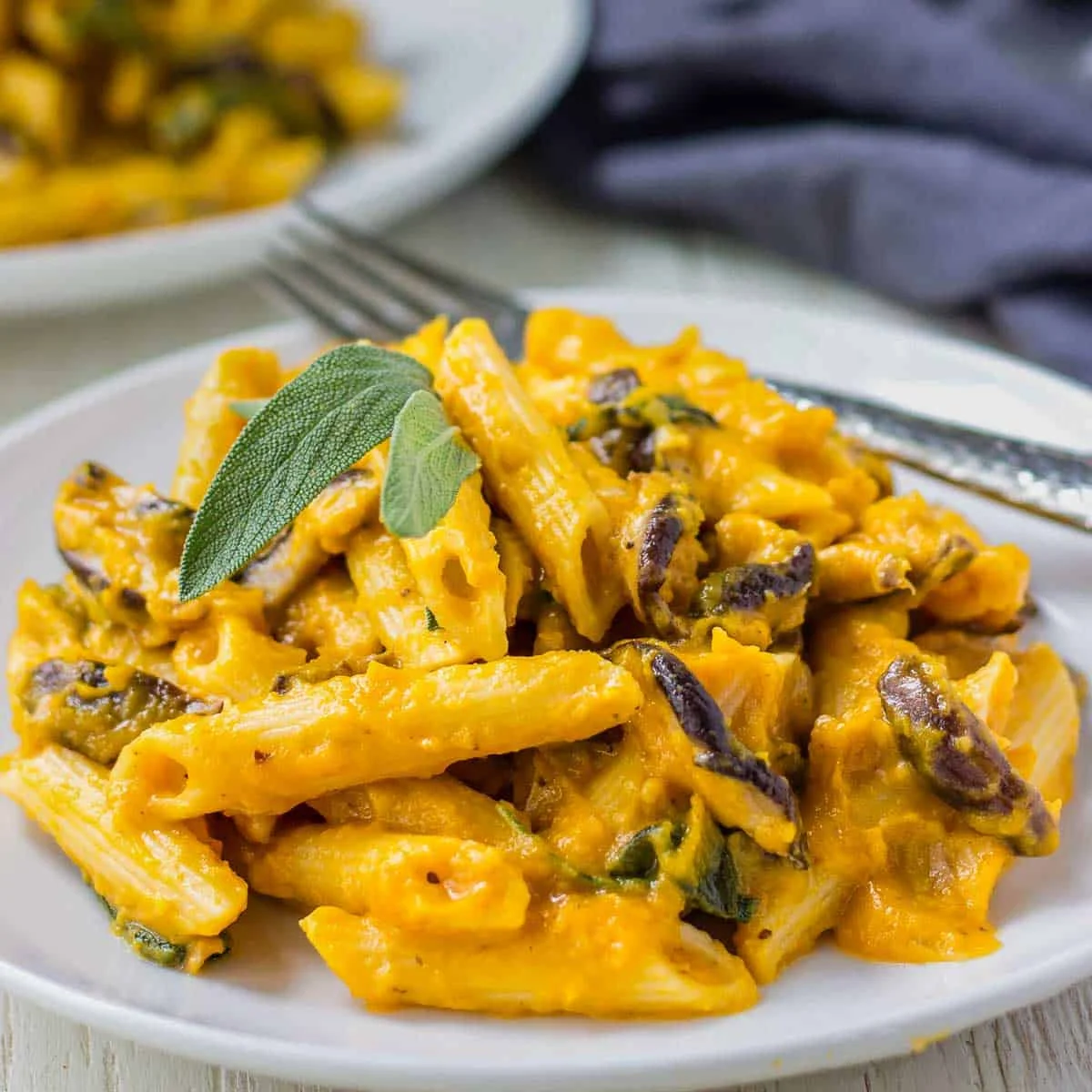 Shiitake Penne With Butternut Squash Creamy Sauce