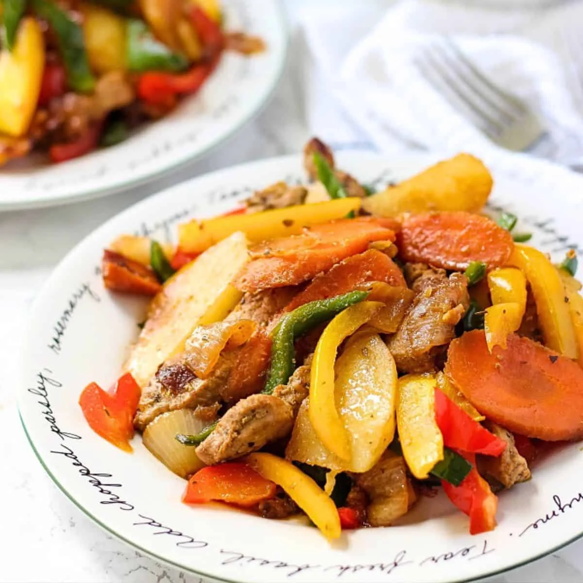 One Pot Pork Vegetable Stew