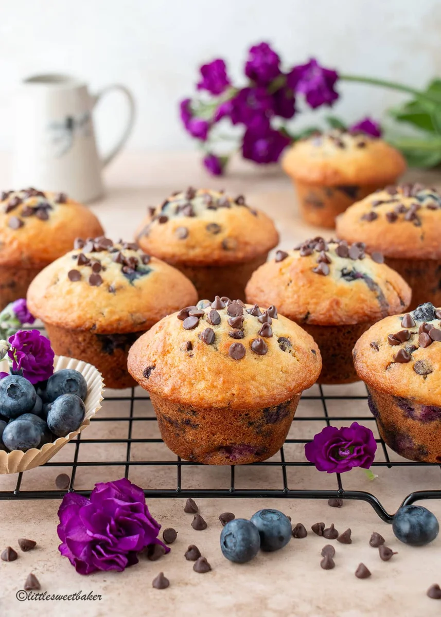 Blueberry Chocolate Chip Muffins