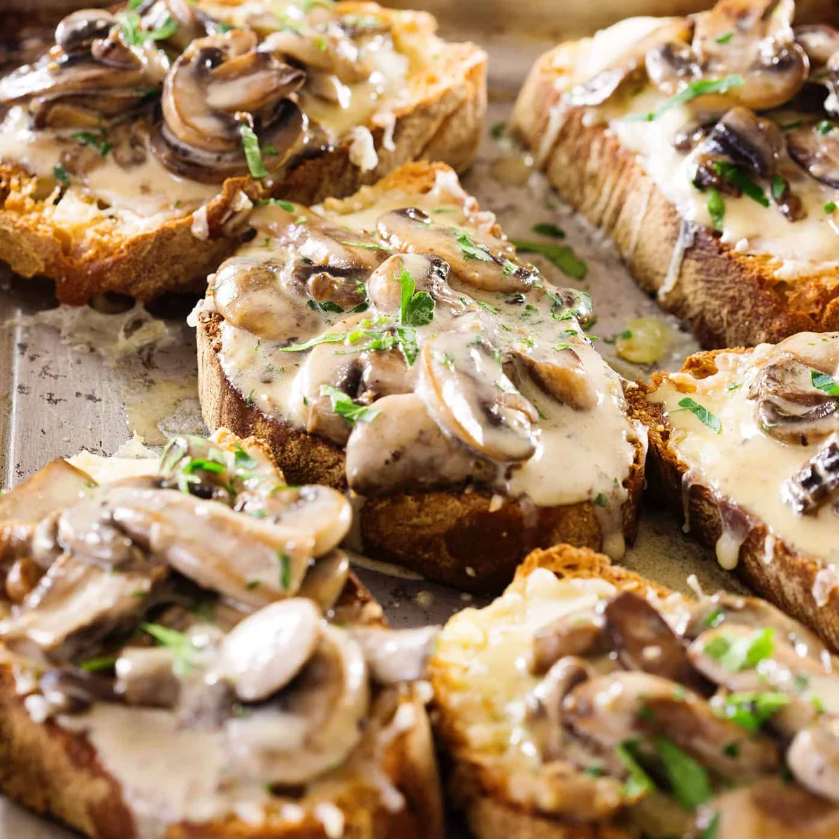 Bruschetta With Mozzarella And Creamy Mushrooms