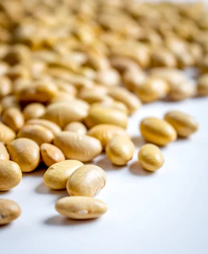 Creamy Refried Peruano Beans