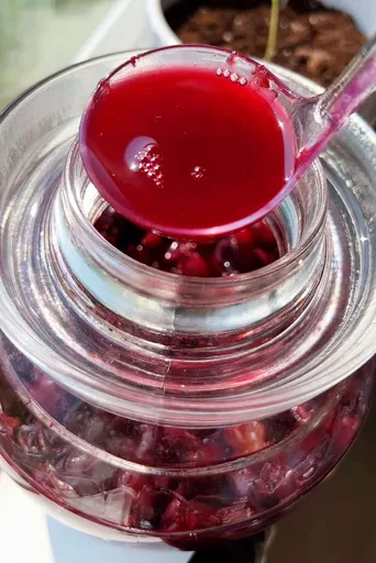 Receta de vino de uva casero - 2 ingredientes
