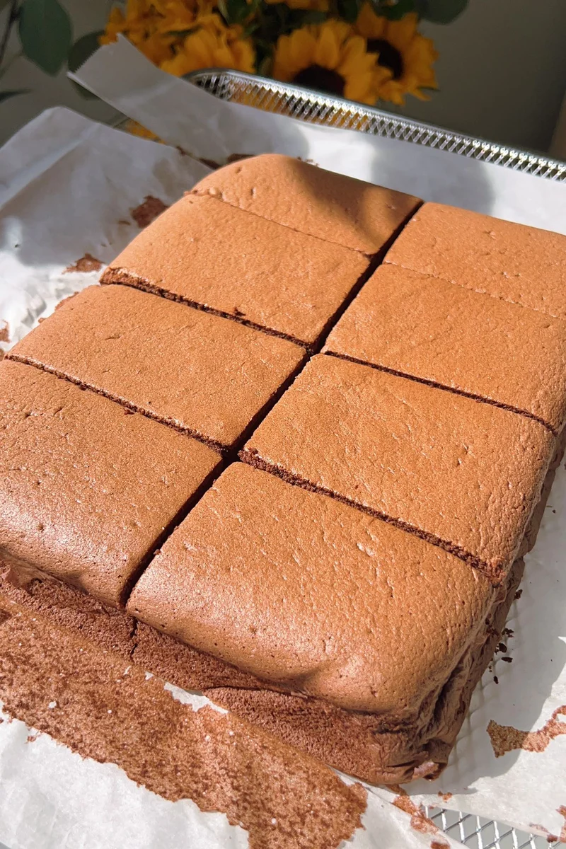 Chocolate Sponge Cake (Soft Like Cloud)
