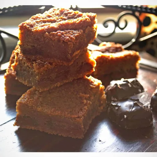 Salted Chocolate Caramel Blondies
