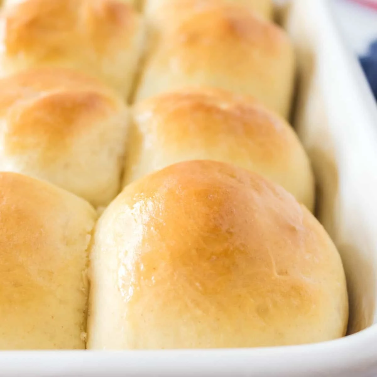 Sourdough Dinner Rolls Recipe