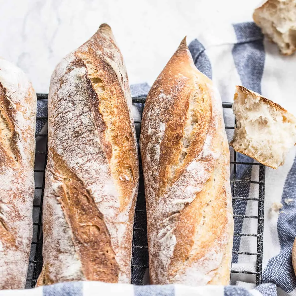 Sourdough Baguette Recipe