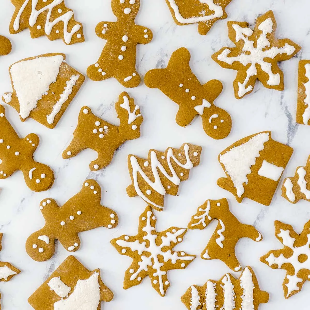 Biscotti allo zenzero senza glutine