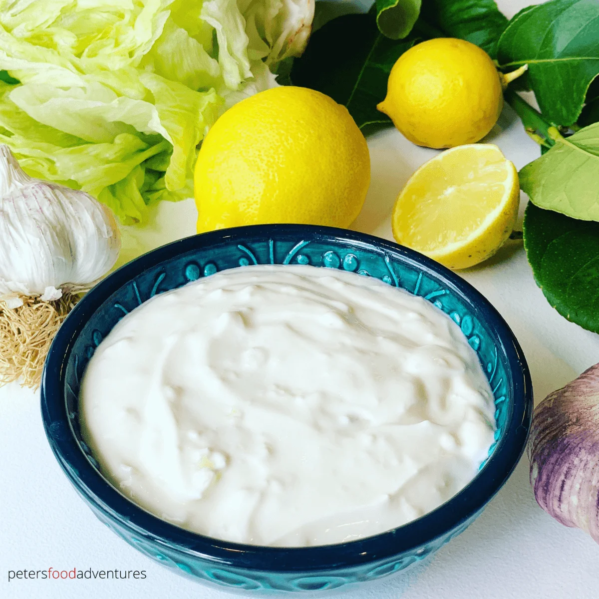 Creamy Yogurt Garlic Sauce
