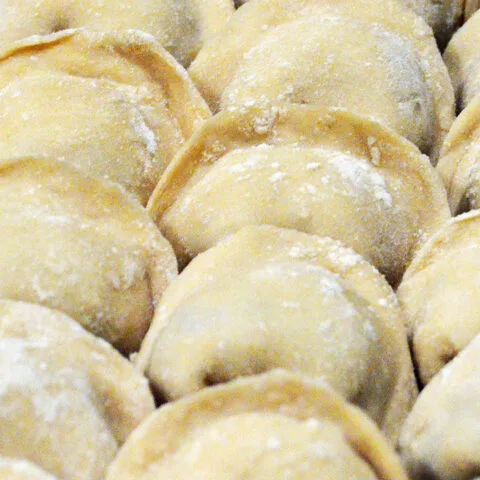 Gluten-free Pierogi Dough