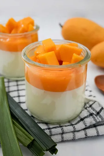 Coconut Panna Cotta with Mango Puree