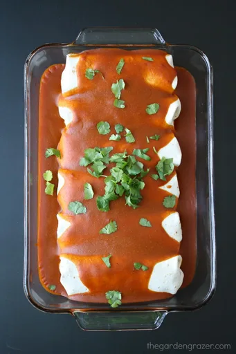 Protein Monster Vegan Enchiladas