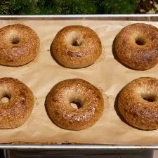 New Wave Sourdough Bagels