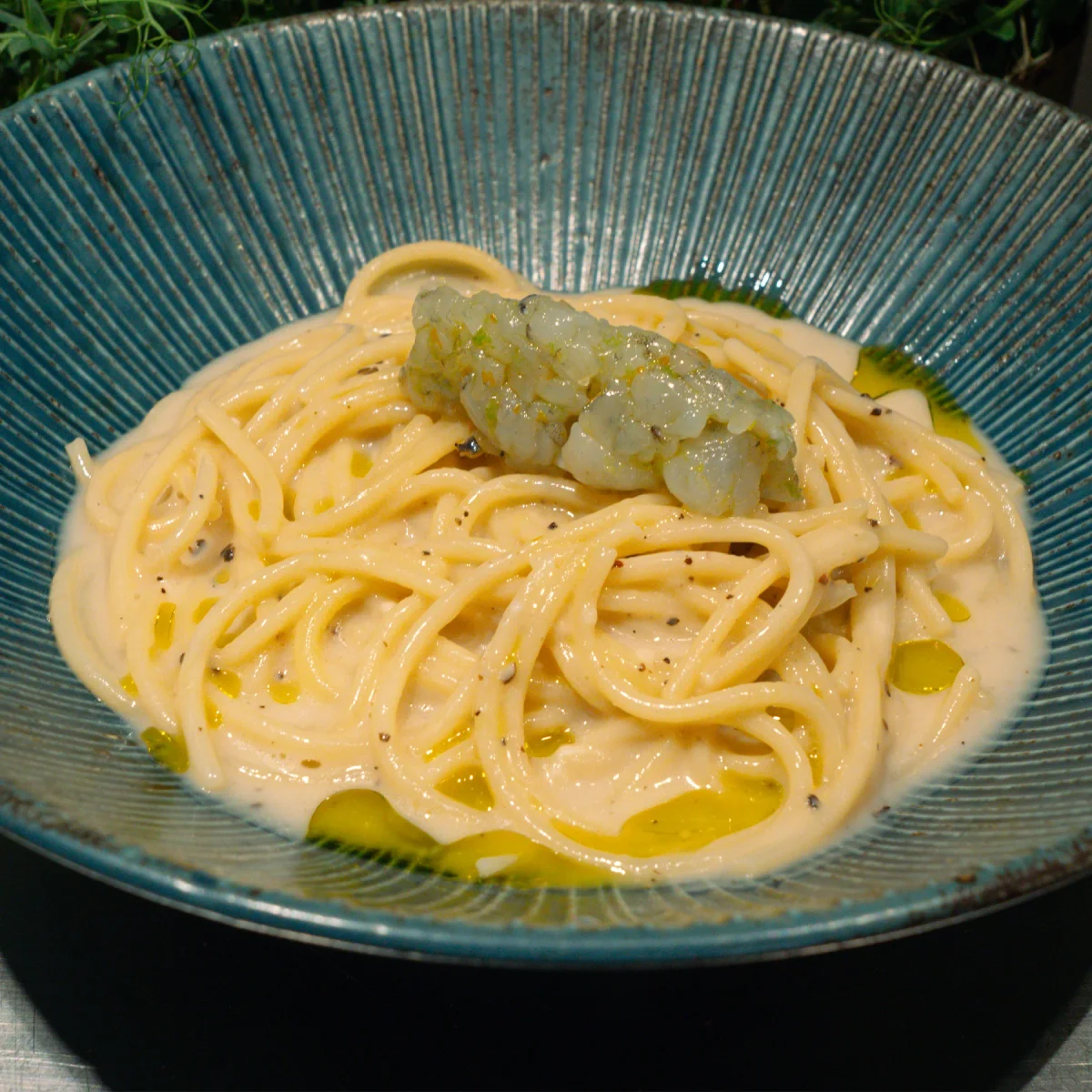 Creamy Shrimp Pasta