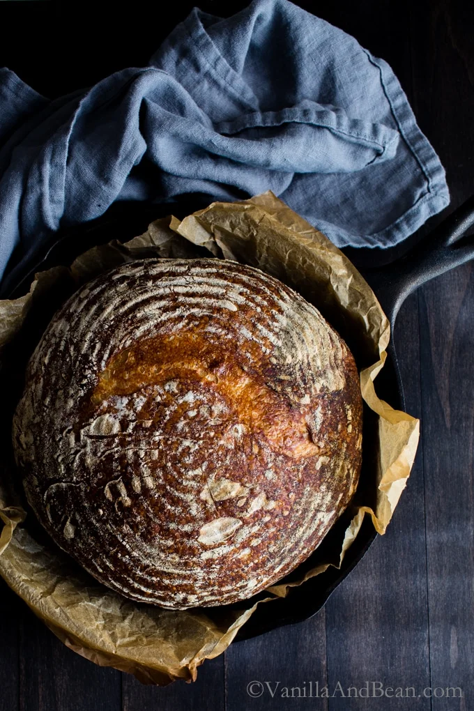 Emilie's Everyday Sourdough Recipe