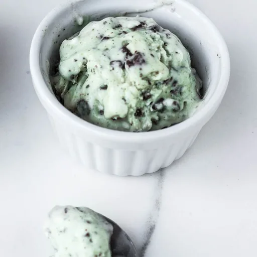 Mint Chocolate Chip Ice Cream {Vegan}