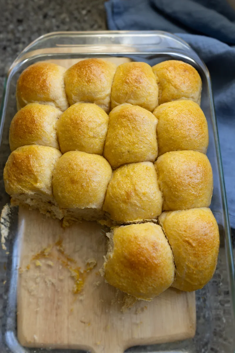 Whole Wheat Sourdough Dinner Rolls