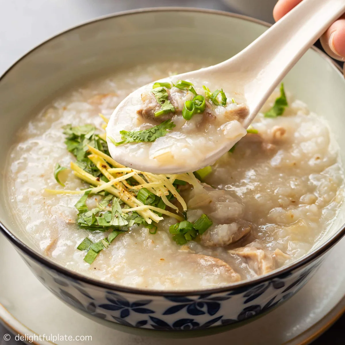 Vietnamese Duck Congee (Chao Vit)