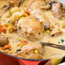 Estofado de pollo de granja