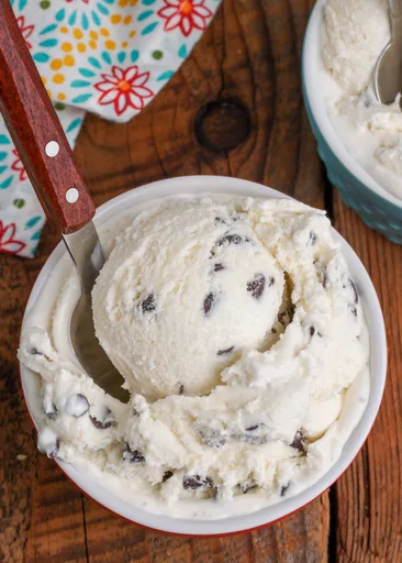 Chocolate Chip Ice Cream