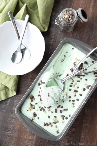 Mint Chocolate Chip Ice Cream
