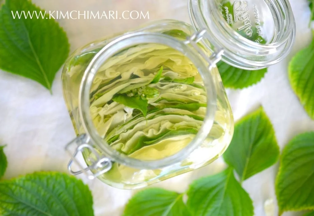 Pickles coréens de chou et de feuilles de périlla