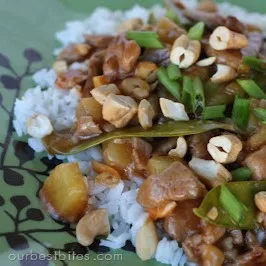 Cashew Sweet and Sour Pork