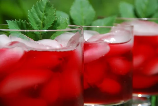 Pechuga de Pato Sellada con Salsa de Flor de Hibisco y Naranja