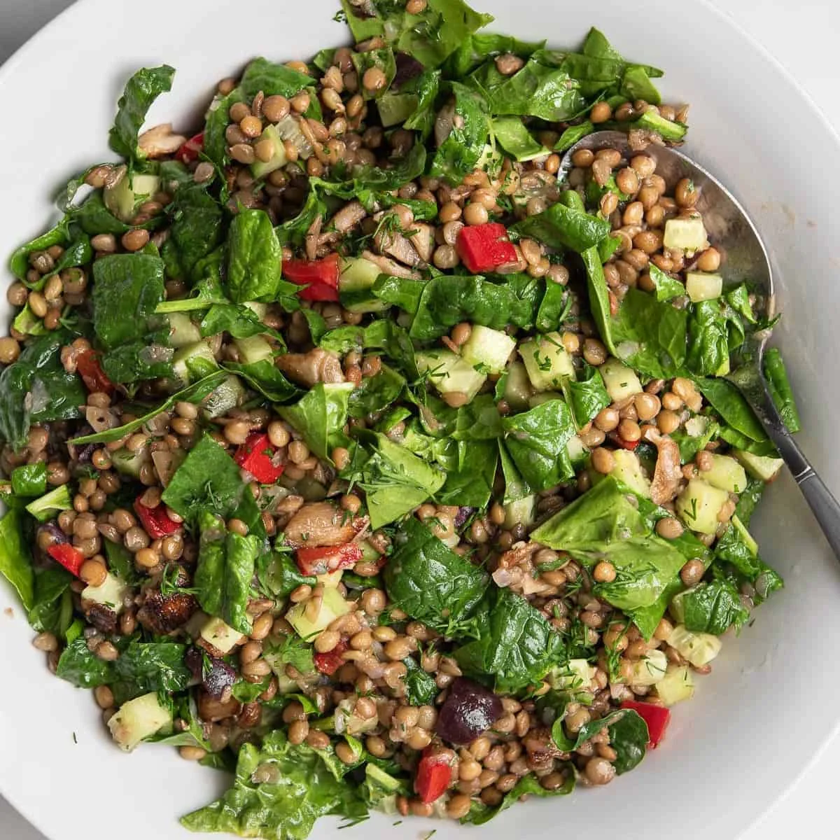 Healthy Lentil Salad Recipe (Vegan, Gluten-Free)