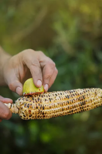 Spiced Grilled Corn - Masala Bhutta