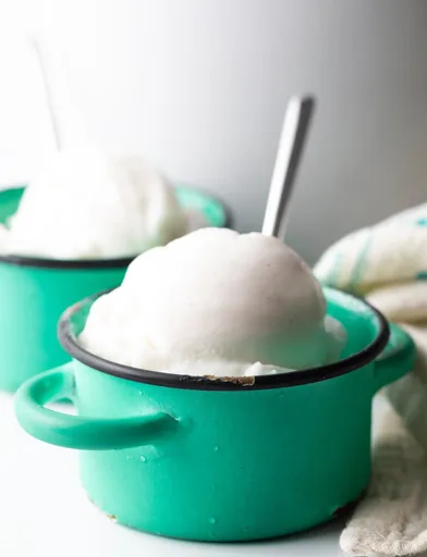 Dairy Free Coconut Ice Cream